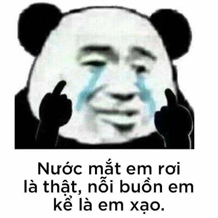 Meme Gấu Trúc Bựa - Tổng Hợp Biểu Cảm Troll - Ghechua.Net